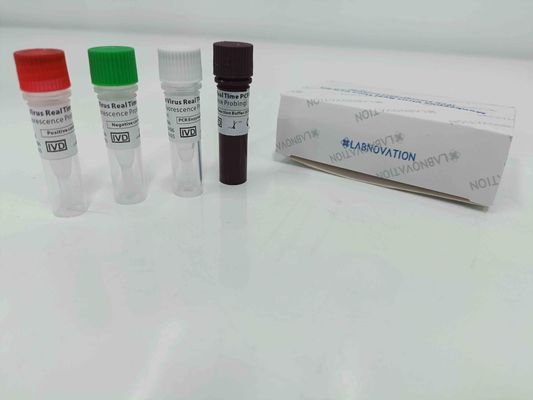 गुणवत्ता  Real Time Monkeypox PCR Test Kit With Positive / Negative Control फैक्टरी